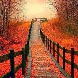 Meet your Posher, Debra